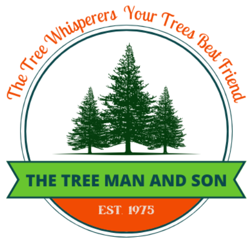The Tree Man and Son