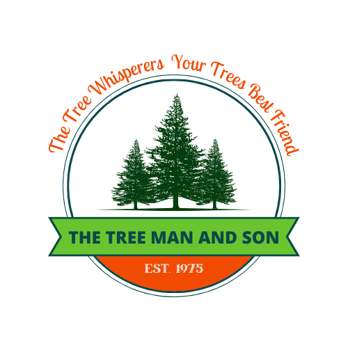 Tree Man and Son Logo