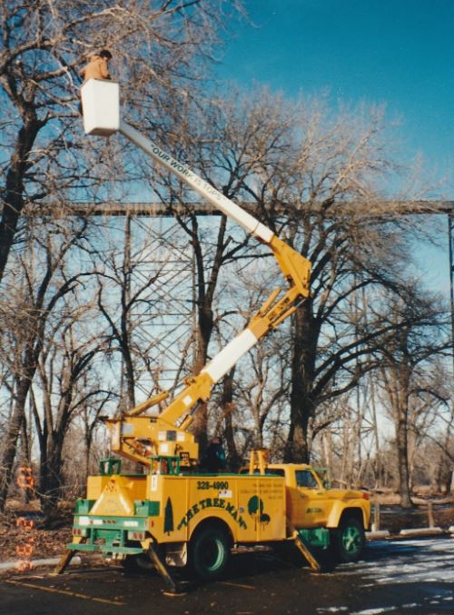 Tree Man and Son Bucket Truck